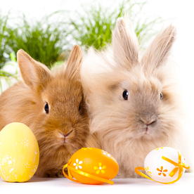 Ostern im Hotel & Restaurant "Moritz an der Elbe"